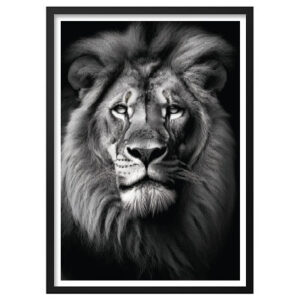 Affiches pour cadres thème animaux / jungle